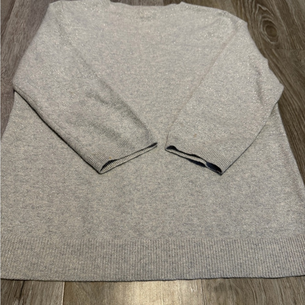 Sparkly Silver Talbots Sweater